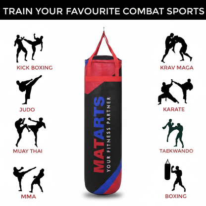 Combat Sports Infographic